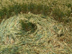 Hinton Downs, Oxfordshire crop circle, aerial photo 12