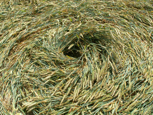 Hinton Downs, Oxfordshire crop circle, aerial photo 32