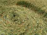 Hinton Downs, Oxfordshire crop circle, aerial photo 8