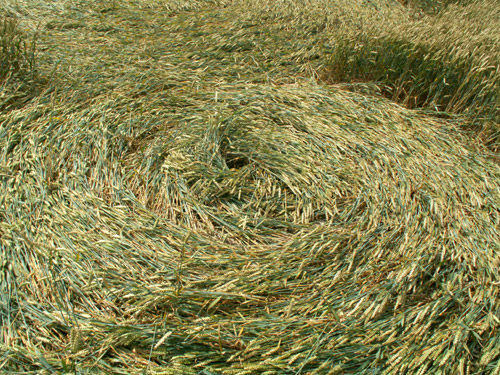Hinton Downs, Oxfordshire crop circle, aerial photo 7
