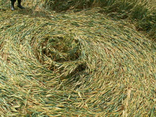 Hinton Downs, Oxfordshire crop circle, aerial photo 31