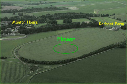 Manton House, Wiltshire crop circle, aerial photo 3