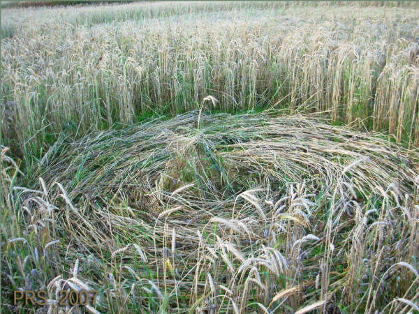 Red Post Farm, Wiltshire crop circle, aerial photo 5