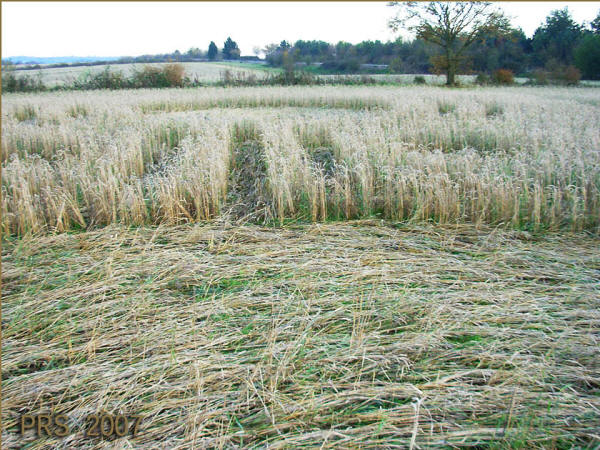 Red Post Farm, Wiltshire crop circle, aerial photo 4
