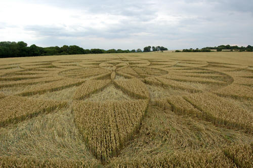 Martinsell Hill, Wiltshire crop circle, aerial photo 7