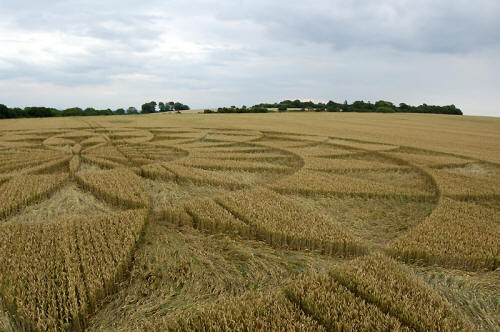 Martinsell Hill, Wiltshire crop circle, aerial photo 8