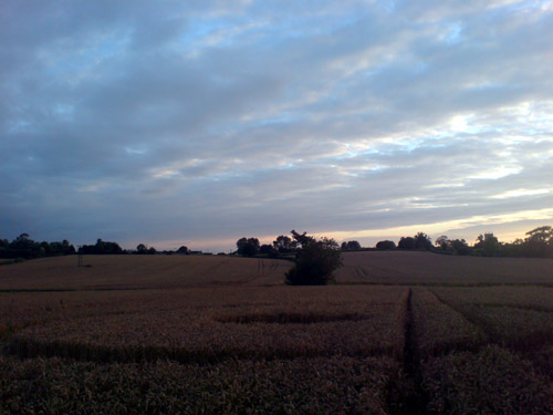 Milbourne, Wiltshire crop circle, aerial photo 4