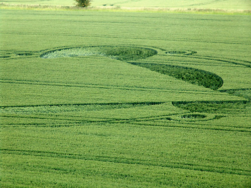 White Horse Milk Hill, Wiltshire crop circle, aerial photo 17