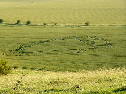 White Horse Milk Hill, Wiltshire crop circle, aerial photo 18
