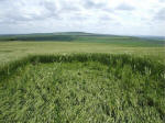 Morgan Hill, Wiltshire crop circle, aerial photo 44