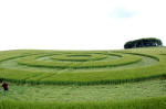 Morgan Hill, Wiltshire crop circle, aerial photo 7