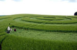 Morgan Hill, Wiltshire crop circle, aerial photo 8