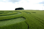 Morgan Hill, Wiltshire crop circle, aerial photo 9