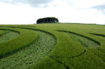 Morgan Hill, Wiltshire crop circle, aerial photo 6
