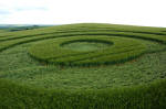 Morgan Hill, Wiltshire crop circle, aerial photo 5