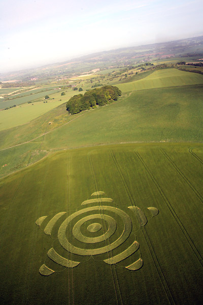 Morgan Hill, Wiltshire crop circle, aerial photo 29