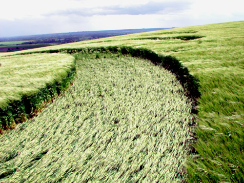 Morgan Hill, Wiltshire crop circle, aerial photo 54