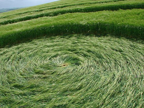 Morgan Hill, Wiltshire crop circle, aerial photo 14