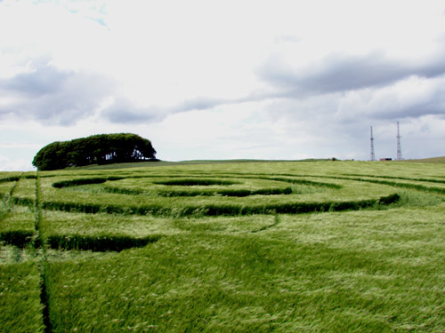 Morgan Hill, Wiltshire crop circle, aerial photo 13