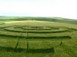 Morgan Hill, Wiltshire crop circle, aerial photo 17