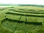 Morgan Hill, Wiltshire crop circle, aerial photo 16