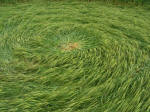 Morgan Hill, Wiltshire crop circle, aerial photo 22