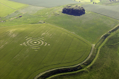 Morgan Hill, Wiltshire crop circle, aerial photo 32