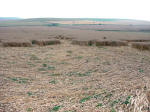 North Down, Wiltshire crop circle, aerial photo 6