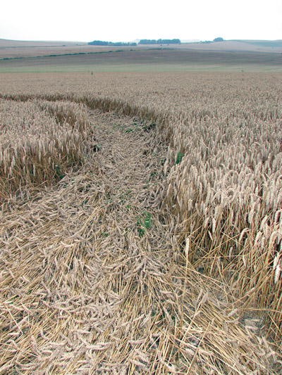 North Down, Wiltshire crop circle, aerial photo 4