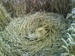 North Down, Wiltshire crop circle, aerial photo 11
