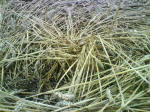 North Down, Wiltshire crop circle, aerial photo 10
