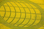 Oliver's Castle, Wiltshire crop circle, aerial photo 4