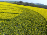 Oliver's Castle, Wiltshire crop circle, aerial photo 8