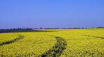 Oliver's Castle, Wiltshire crop circle, aerial photo 22