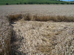 Pewsey White Horse, Wiltshire crop circle, aerial photo 19