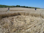 Pewsey White Horse, Wiltshire crop circle, aerial photo 21