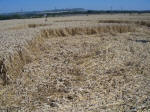 Pewsey White Horse, Wiltshire crop circle, aerial photo 18