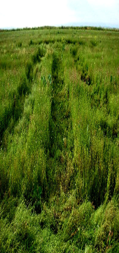 The Ridgeway, Wiltshire crop circle, aerial photo 6