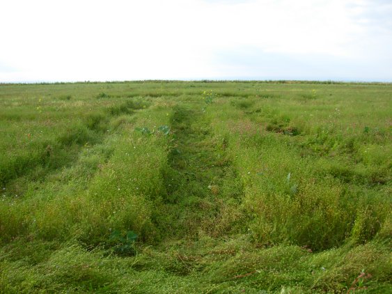 The Ridgeway, Wiltshire crop circle, aerial photo 4