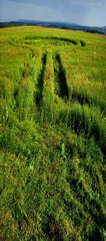 The Ridgeway, Wiltshire crop circle, aerial photo 8