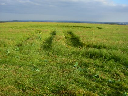 The Ridgeway, Wiltshire crop circle, aerial photo 2