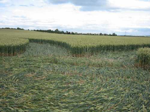 Southend, Oxfordshire crop circle, aerial photo 6