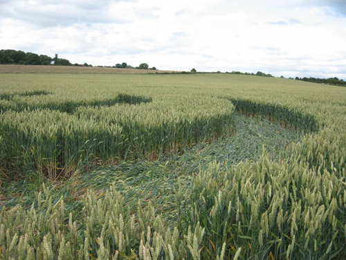 Southend, Oxfordshire crop circle, aerial photo 8