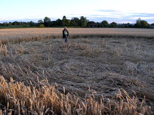 Stanton St Bernard, Wilshire crop circle, aerial photo 25
