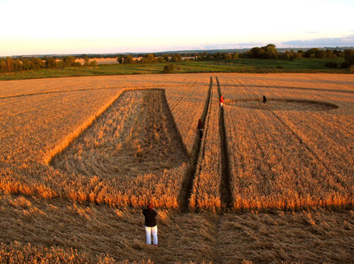Stanton St Bernard, Wilshire crop circle, aerial photo 8