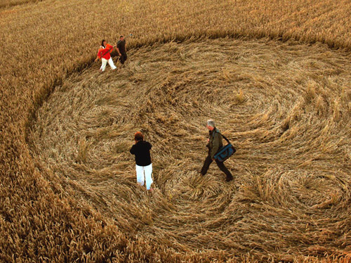 Stanton St Bernard, Wilshire crop circle, aerial photo 20