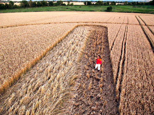 Stanton St Bernard, Wilshire crop circle, aerial photo 19