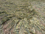 Stantonbury Hill, Somerset crop circle, aerial photo 13