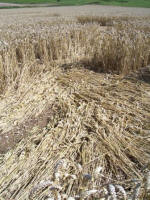 Sugar Hill, Wiltshire crop circle, aerial photo 21