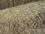 Sugar Hill, Wiltshire crop circle, aerial photo 24